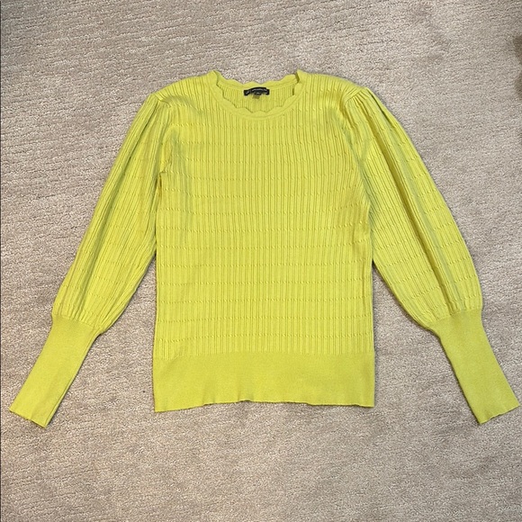Adrianna Papell Sweaters - Adrianna Papell sweater
